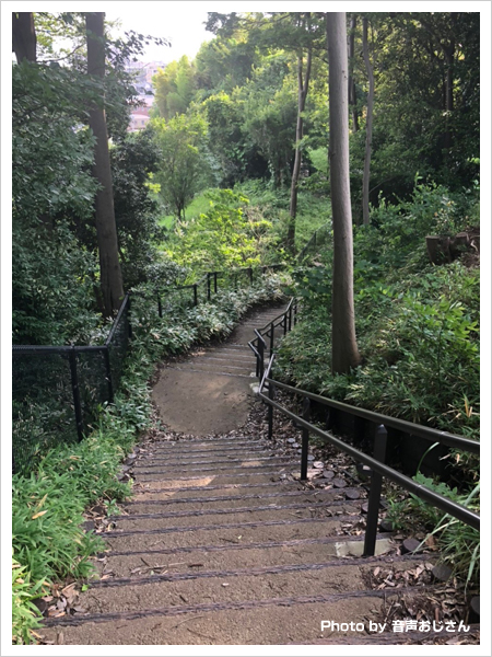茅ケ崎城跡「茅ヶ崎城址公園」舗装された階段